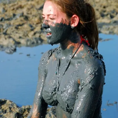 In With Terrace, Air Conditioning, Wifi, Washing Machine * Privlaka (Zadar)