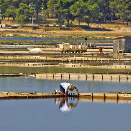 Appartement In With Terrace, Air Conditioning, Wifi, Washing Machine Privlaka (Zadar)